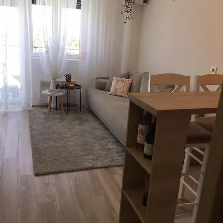 Mijatovic דירה *