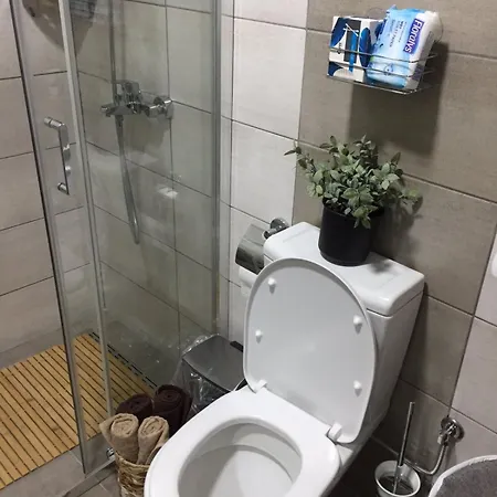 Mijatovic Lejlighed Jagodina