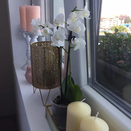 Mijatovic דירה ג'אגודינה