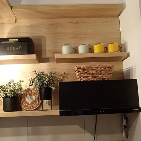 Mijatovic Lejlighed Jagodina