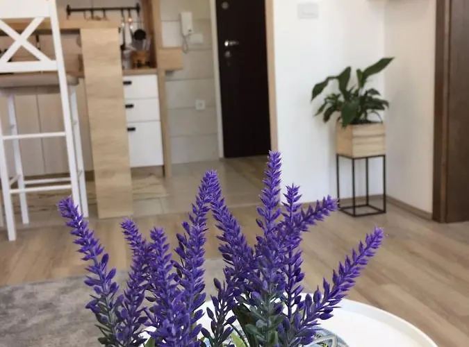 Mijatovic Διαμέρισμα