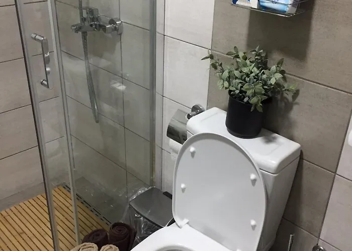 Mijatovic Διαμέρισμα Jagodina