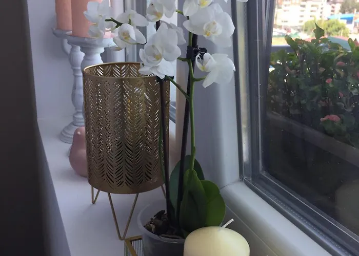 Mijatovic Διαμέρισμα Jagodina